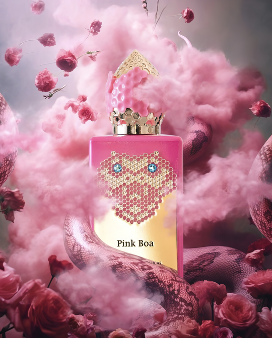Pink Boa Stéphane Humbert Lucas 777