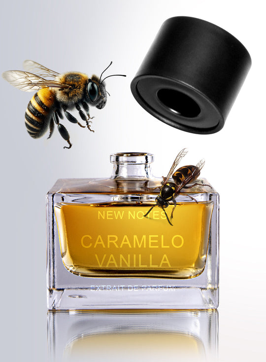 Caramello Vanilla New Notes Extrait De Parfum