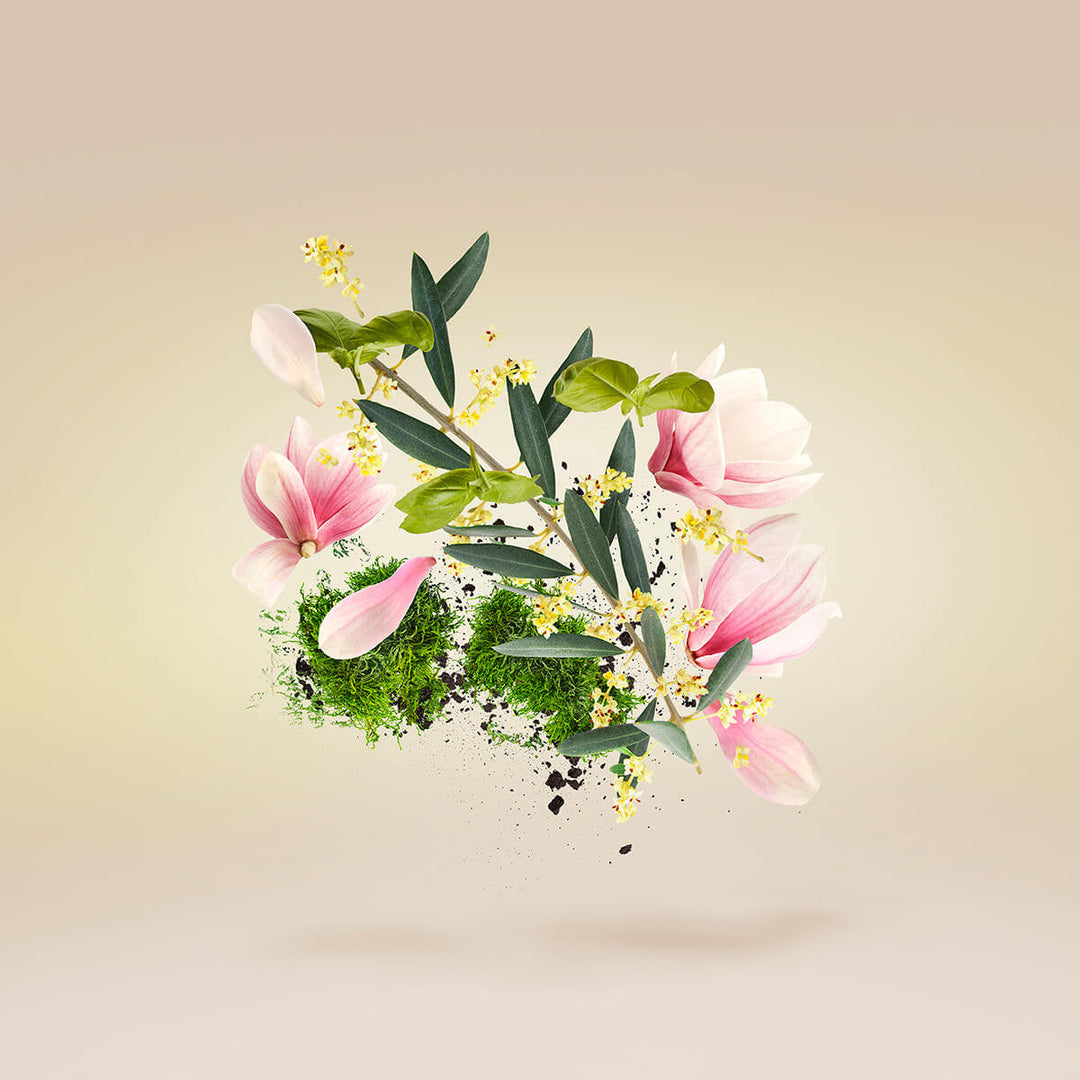 Fiore d&