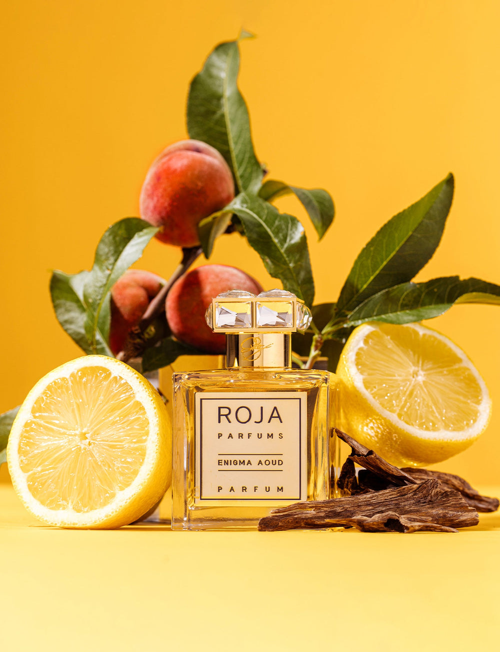 Enigma Aoud Parfum Roja Parfums 100ml