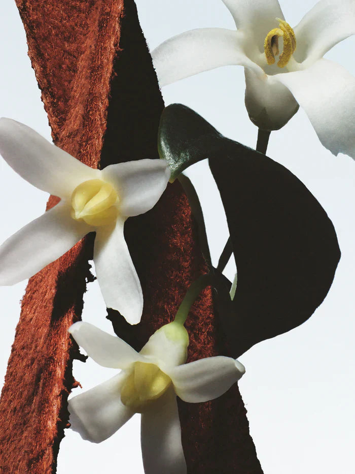 Fleur du Mal Dries Van Noten Eau De Parfum Sample 2ml