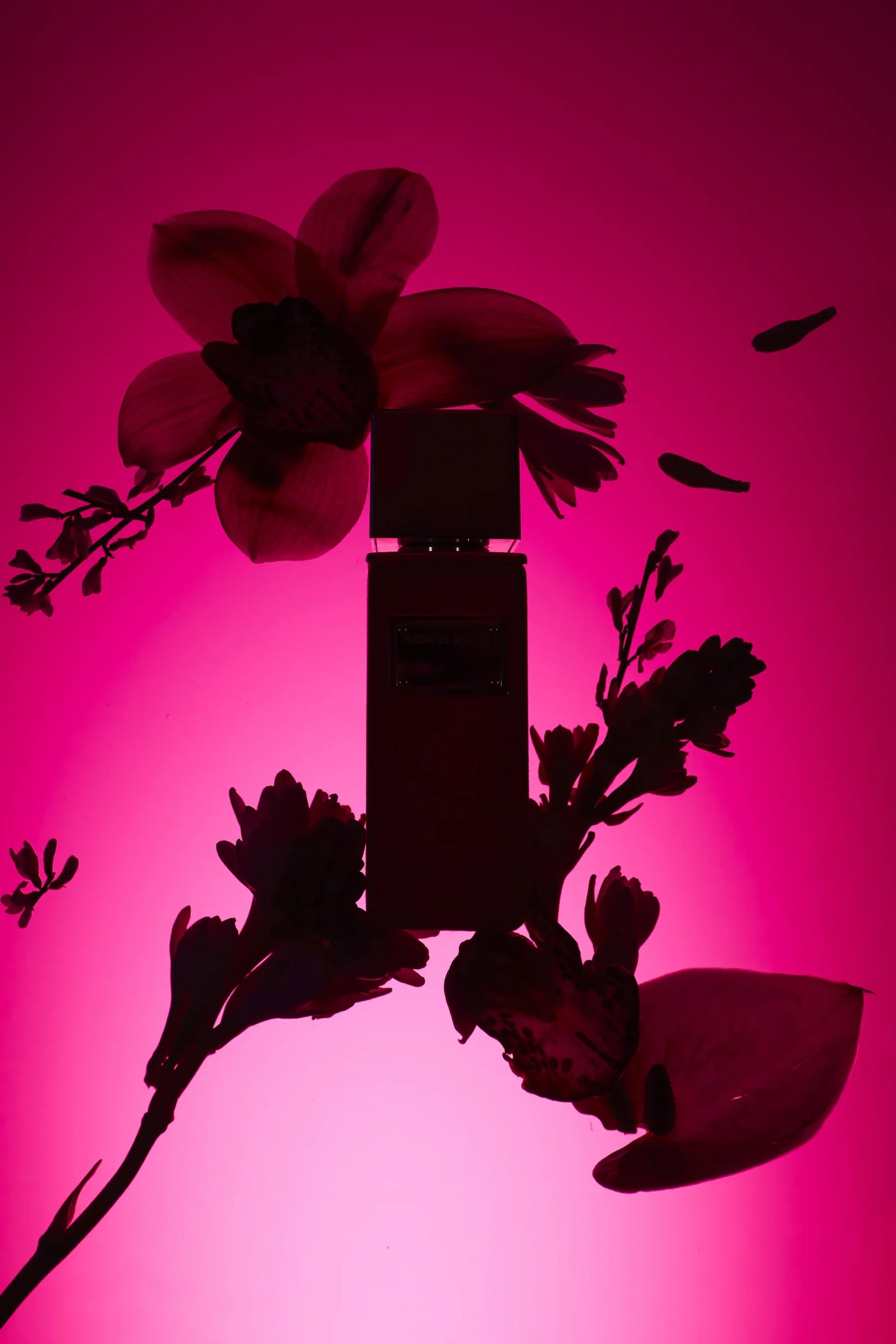 Hysterica Gritti Extrait de Parfum