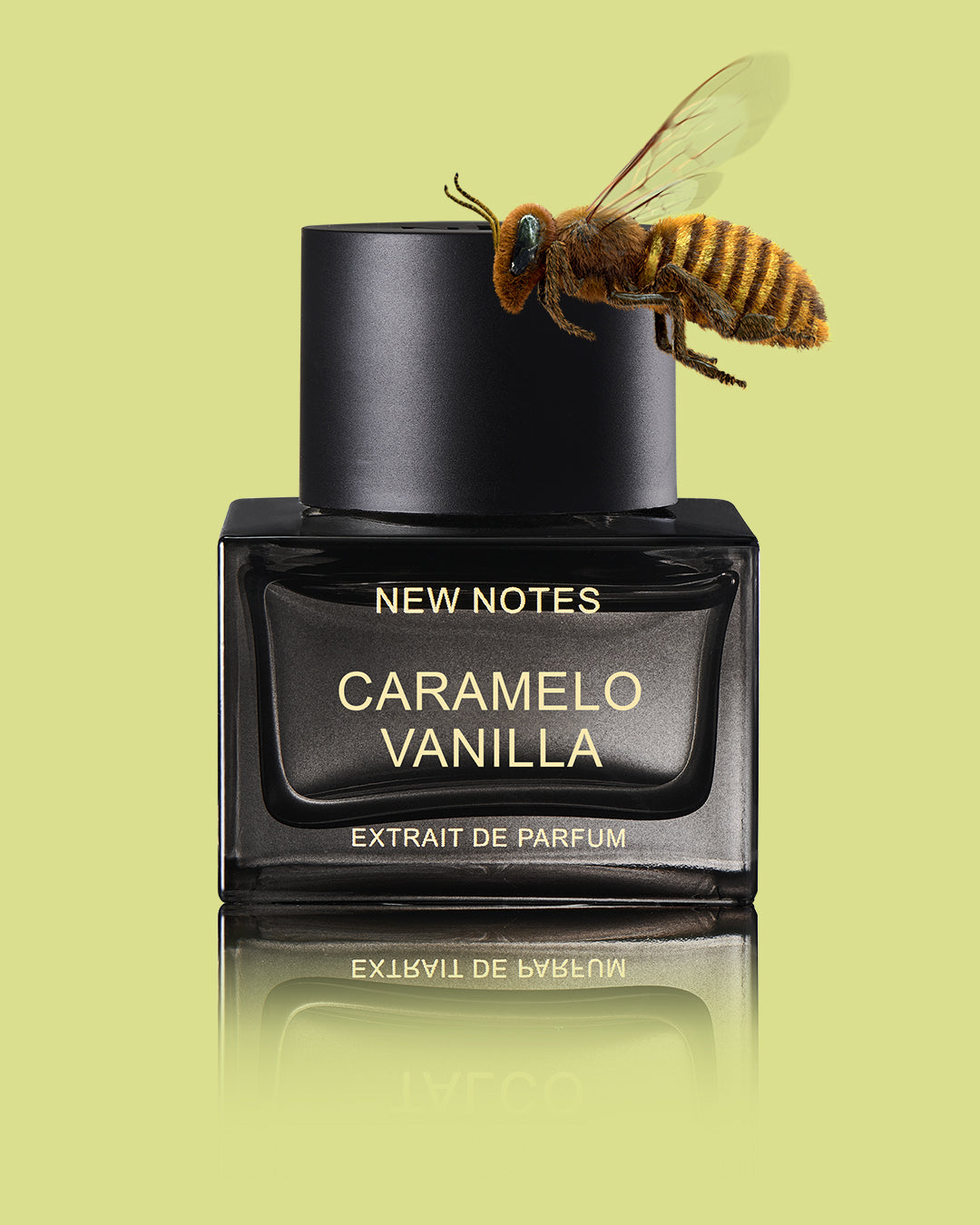 Caramello Vanilla New Notes Extrait De Parfum