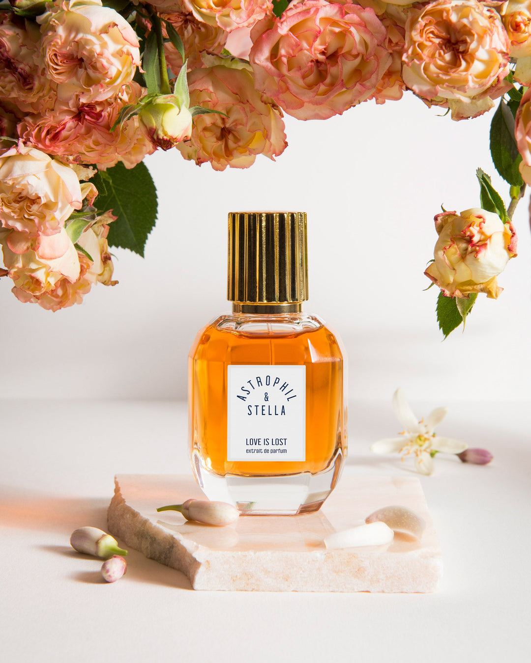 Love Is Lost Astrophil &amp; Stella Extrait de Parfum 50ml