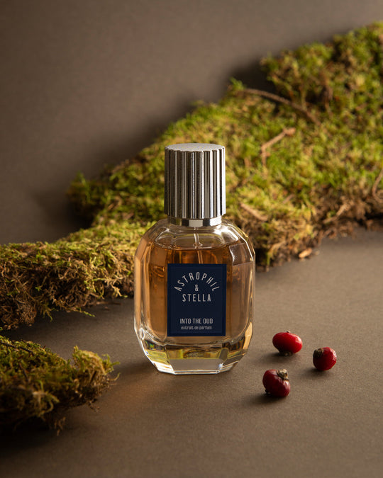 Into The Oud Astrophil &amp; Stella Extrait de Parfum 50ml