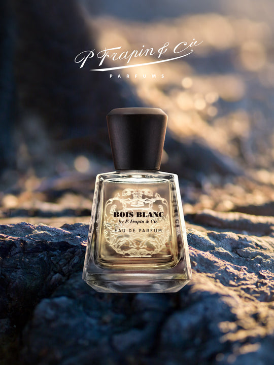 Bois Blanc - P.Frapin &amp; Cie 100ml