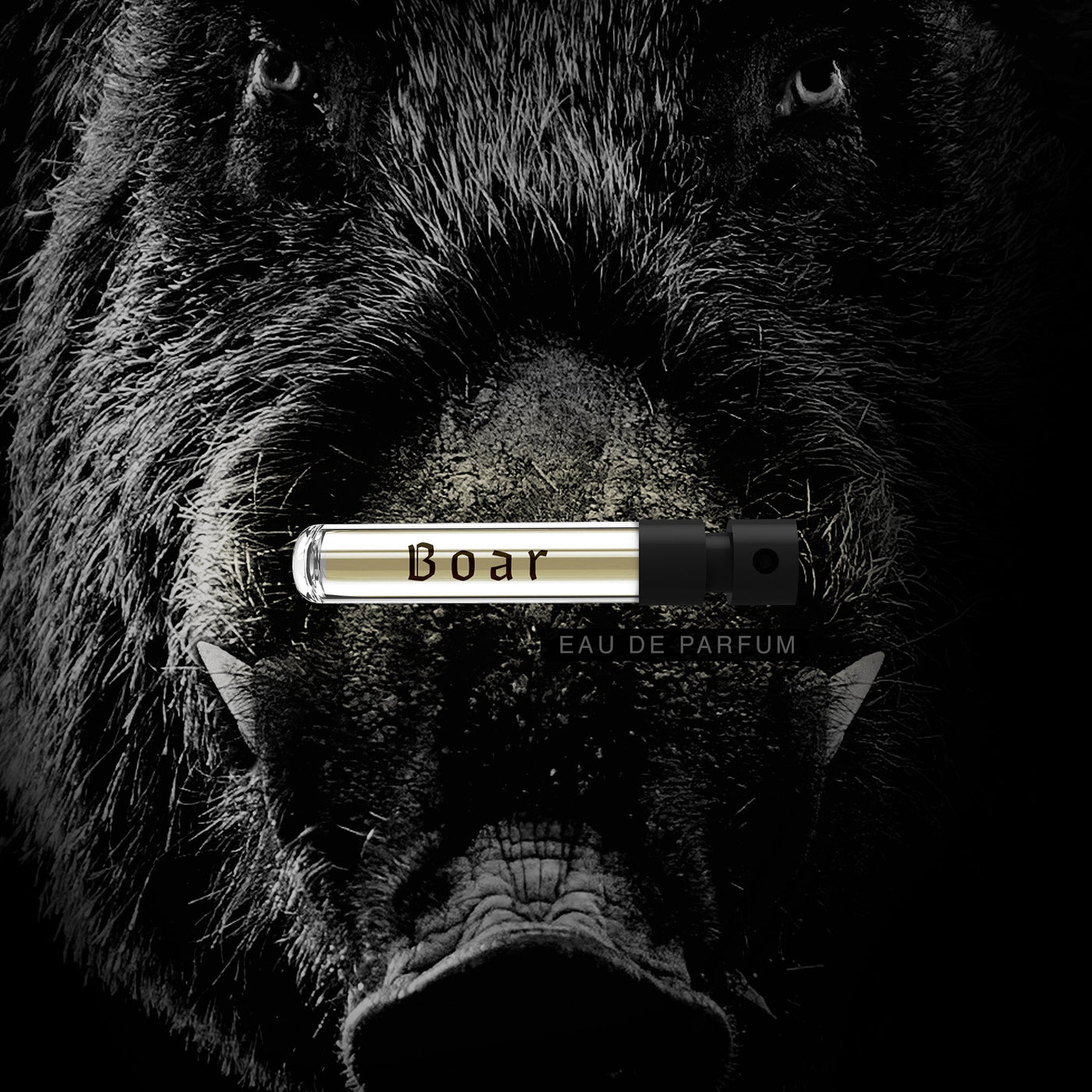 Boar Wild Slavic Fragrance - Eau de Parfum Duftprøve 2ml