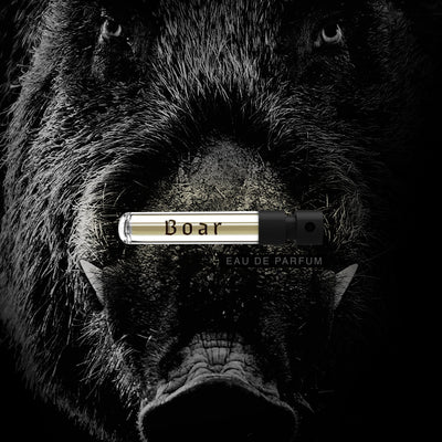 Boar Wild Slavic Fragrance - Eau de Parfum Duftprøve 2ml
